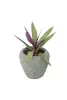 Product image 2 of the product “Planter, round, smooth, bulbous. The height is 13 cm. ”
